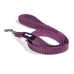 Laisse pour Chien Gloria Violet S