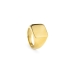 Anel masculino Radiant RH000027-26 Dourado 26