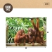 Puslespill Colorbaby Orangutan 6 enheter 68 x 50 x 0,1 cm