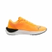 Hardloopschoenen voor Volwassenen Puma Electrify Nitro 3 Fade