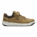 Sportskor Casual Barn Joma Sport J.Jarama 2426 Brun