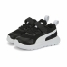 Scarpe Sportive per Bambini Puma Evolve Run Mesh Infantil