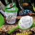 Vitenskapsspill Lisciani Insectos ES (6 enheter)