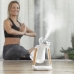 Luftbefeuchter, Aroma Diffuser und kabelloses Ladegerät, 3-in-1 Misvolt InnovaGoods