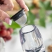 Aerator do wina z filtrem, podstawką i etui do przechowywania Wineir InnovaGoods