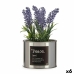 Decorative Plant Ibergarden Metal Plastic Can Lavendar 10 x 18 x 10 cm (6 Units)