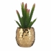 Plantă decorativă Ibergarden HY2-44 Ceramică Plastic Cactus 10 x 20 x 10 cm Verde Auriu* (6 Unități)