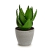 Planta Decorativa Ibergarden YC184573 Plástico Aloé Vera 15 x 23,5 x 15 cm (6 Unidades)