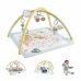 Koberec na hru Fisher-Price Plastické