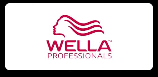 https://cms.bigbuy.eu/uploads/logo_17_wella_db4c480be6.webp