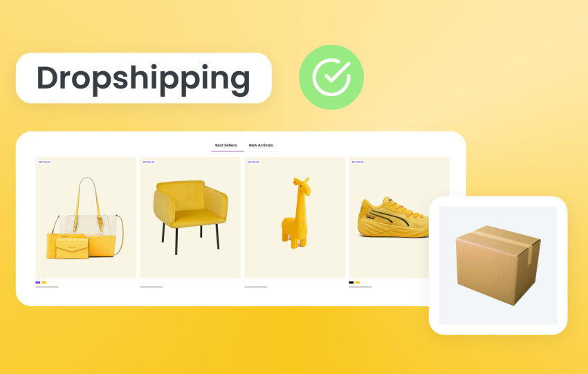 guida dropshipping